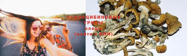 круглые Майский