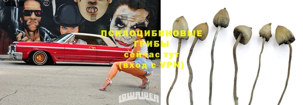 a pvp Арсеньев