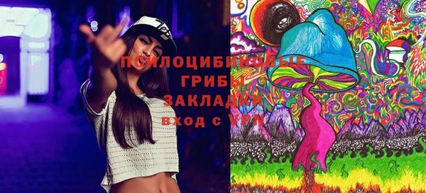 мет Аркадак