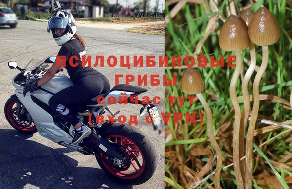 бошки Армянск