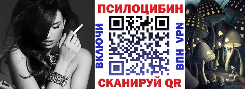 Псилоцибиновые грибы Psilocybe  Чкаловск 